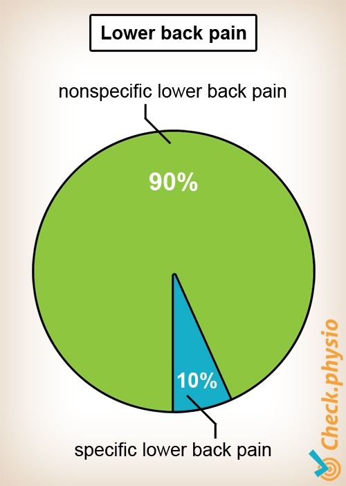 Rücken unterer Rückenschmerz aspezifisch spezifisch Kreisdiagramm
