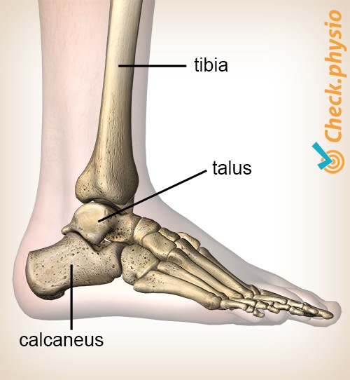 Sprunggelenk hinteres Impingement